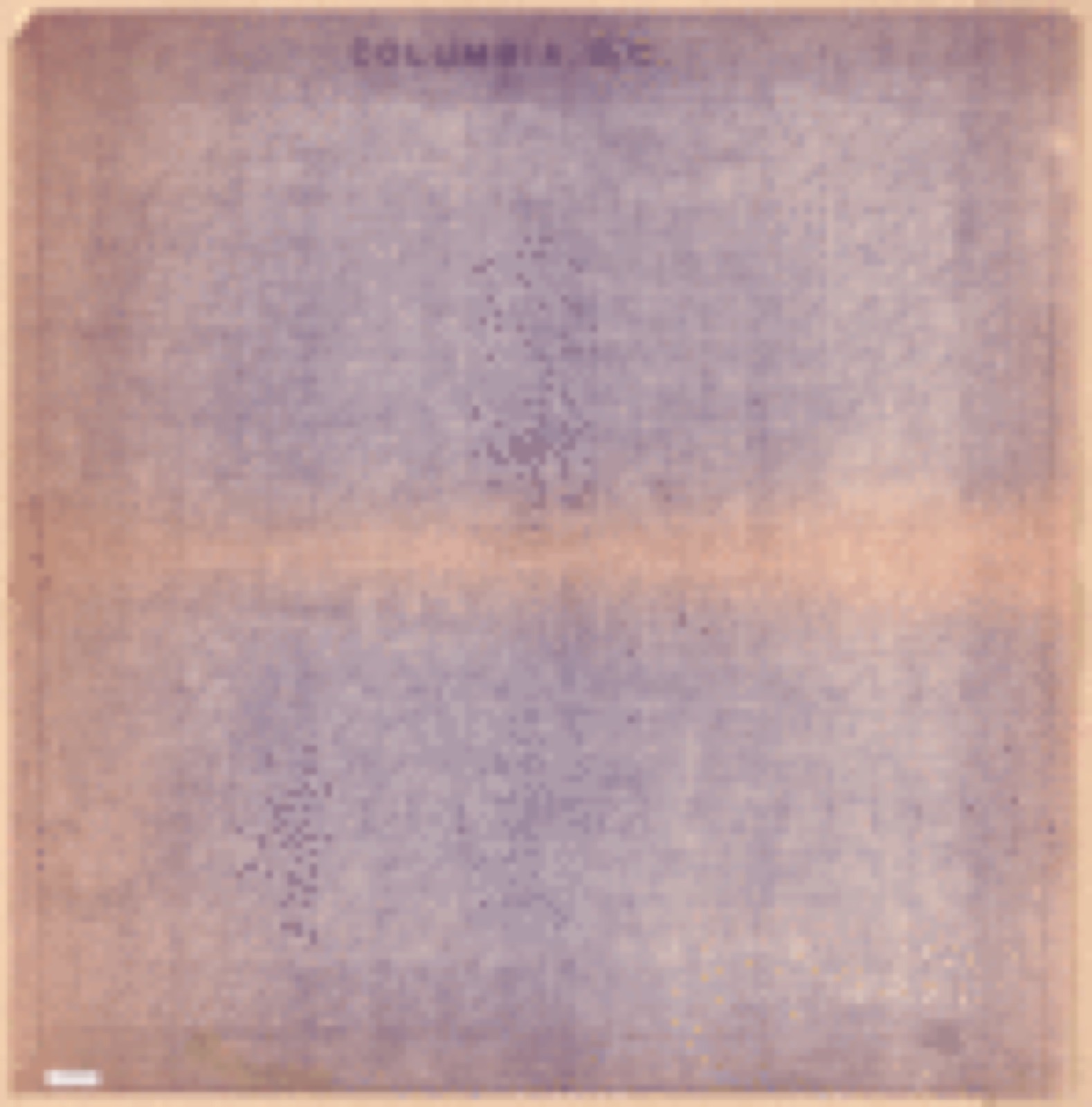 Land ownership map, 1915 - Columbia, S.C.