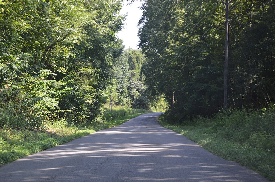 Photograph of Nation Ford Road