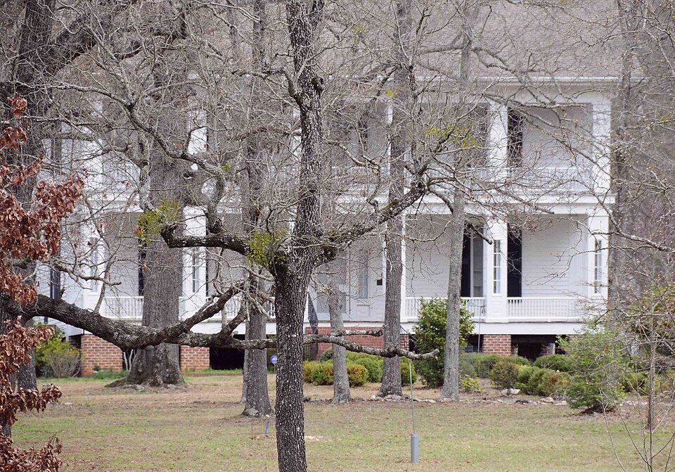 Photograph of Woodland Plantation