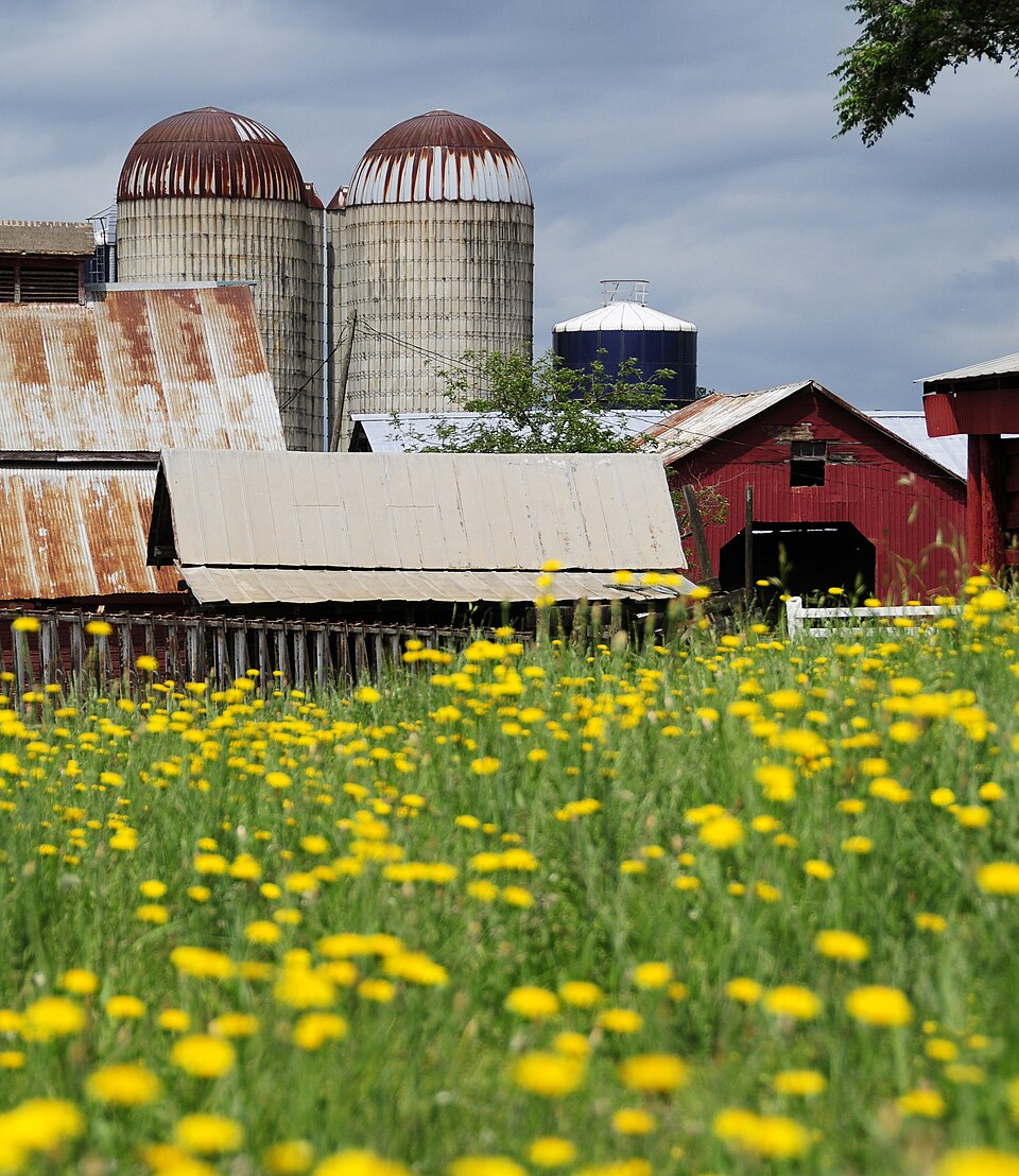 Photograph of Denver Downs Farmstead