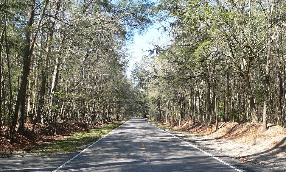 Photograph of Ashley River Historic District