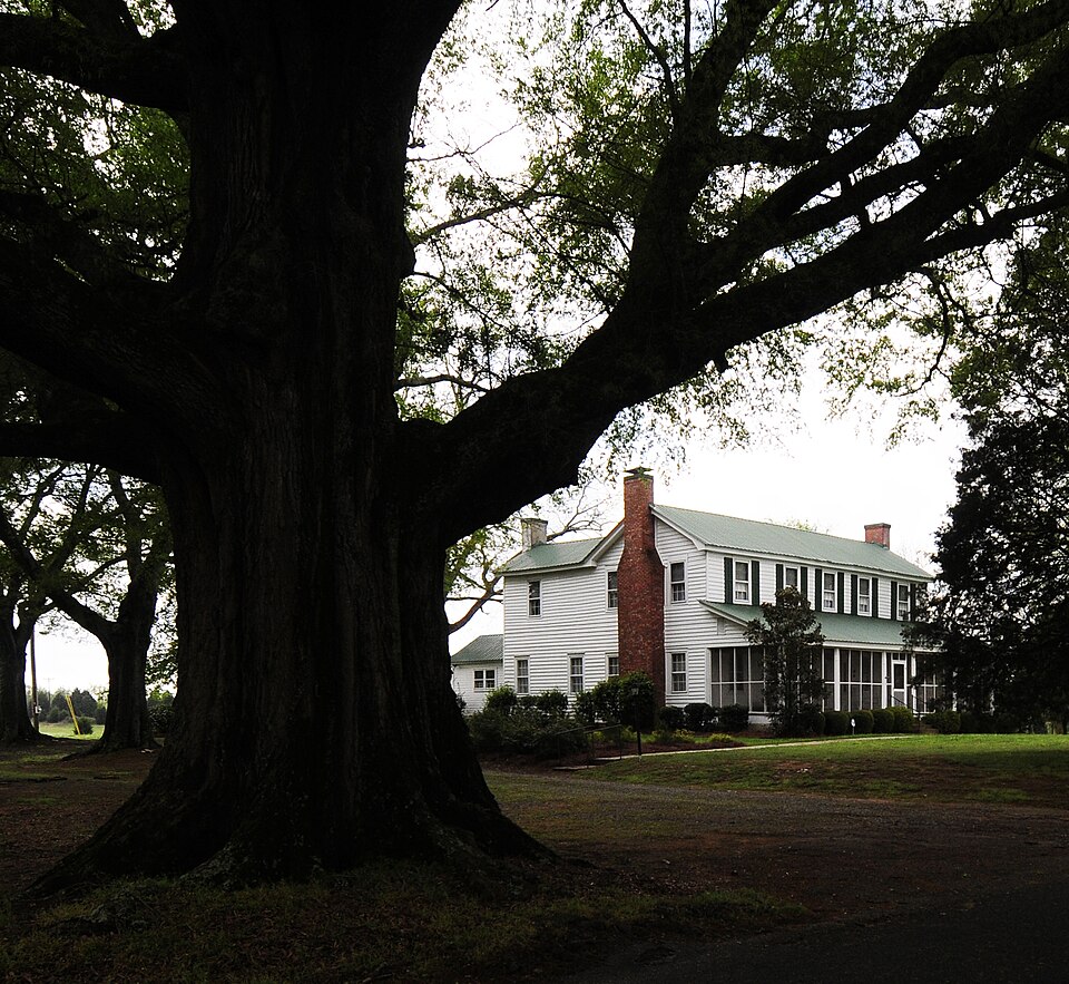 Photograph of The Oaks
