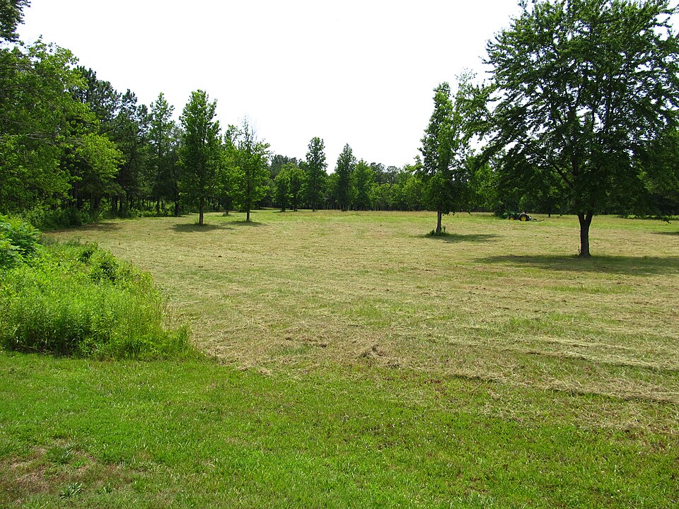 Photograph of Cowpens National Battlefield