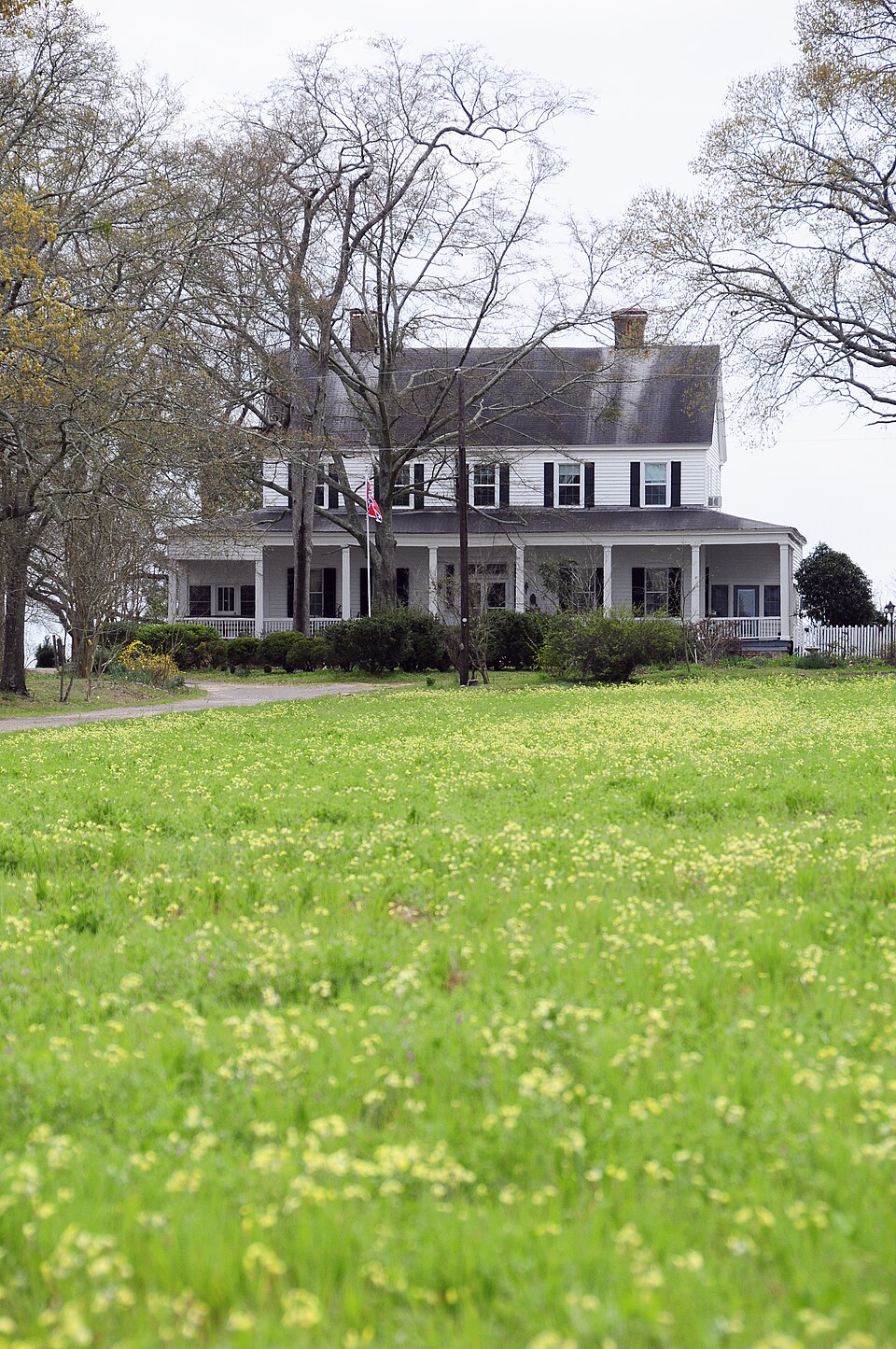 Photograph of Darby Plantation
