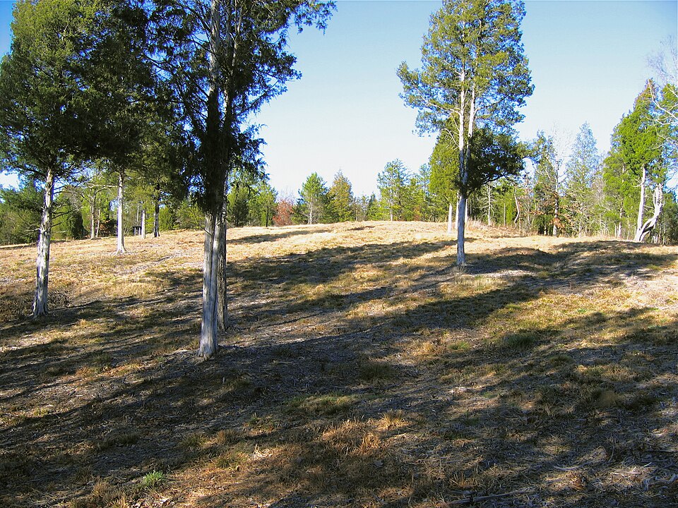 Photograph of Musgrove Mill State Historic Site
