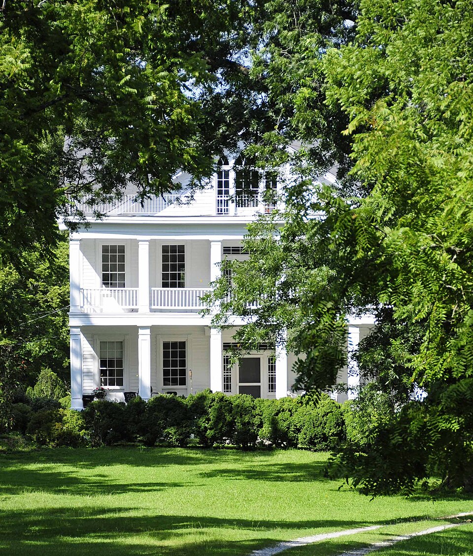 Photograph of Fonti Flora Plantation