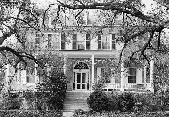 Photograph of Mulberry Plantation