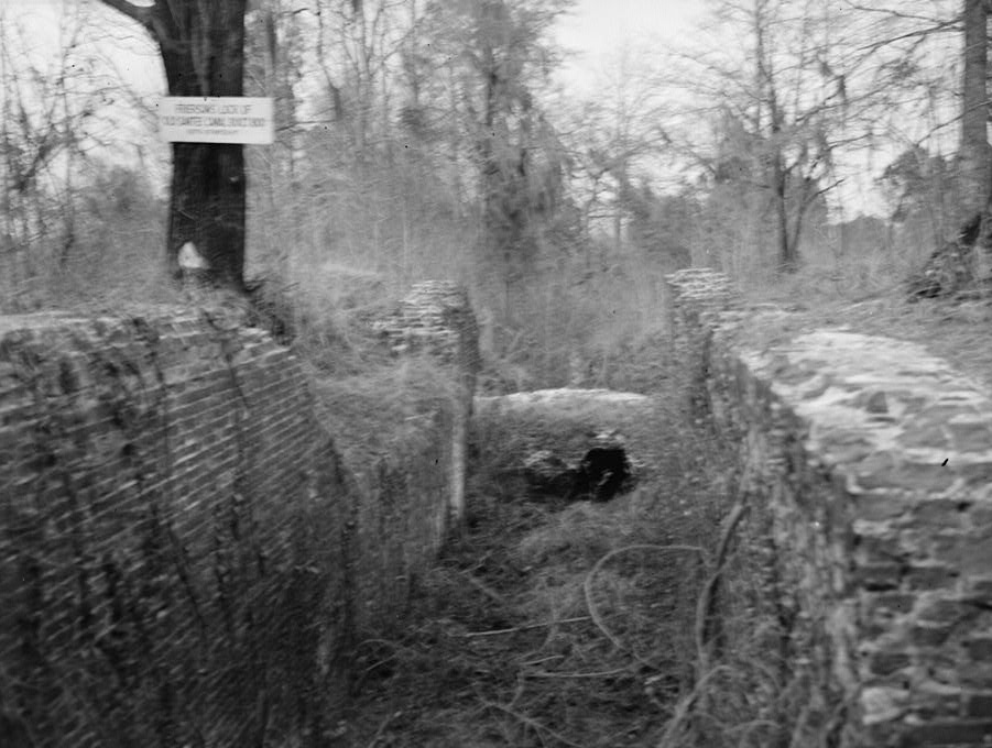 Photograph of Santee Canal