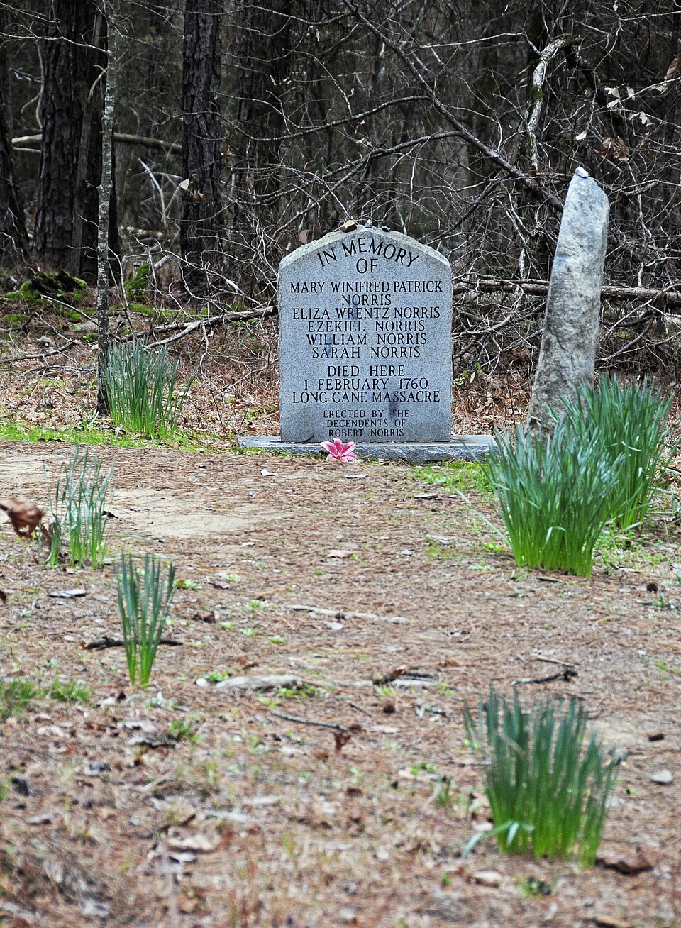 Photograph of Long Cane Massacre Site