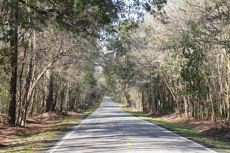 Photograph of South Carolina Highway 61
