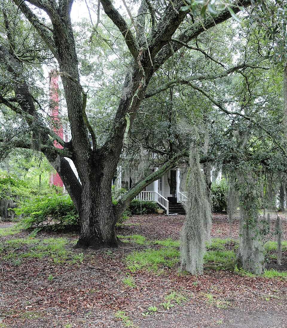Photograph of John Solomon Hendrix House