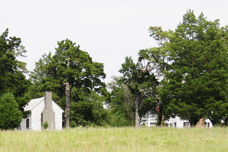 Photograph of Dr. Walter Brice House and Office