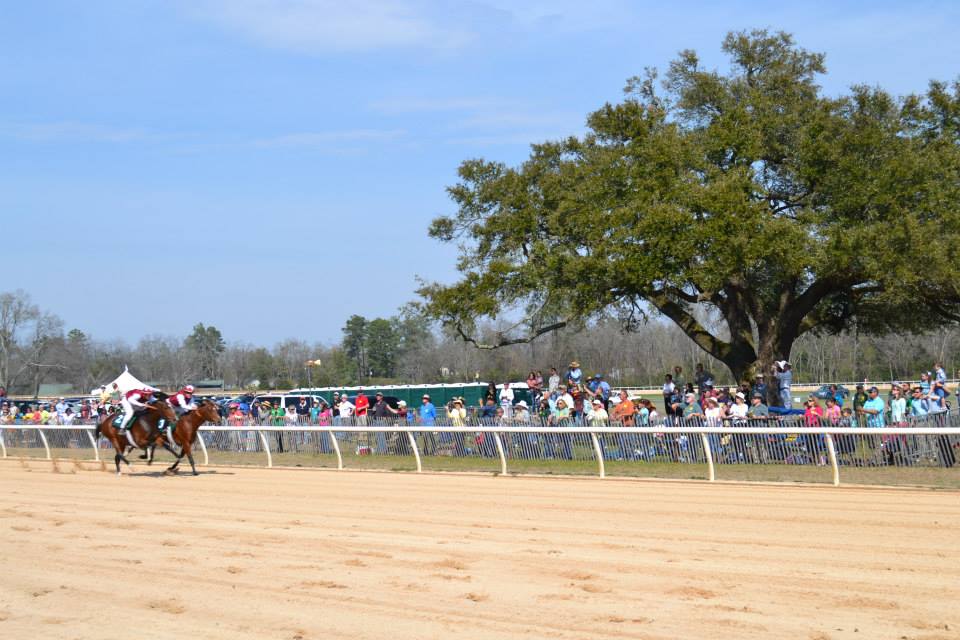 Photograph of Aiken Training Track