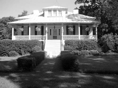 Photograph of Orange Grove