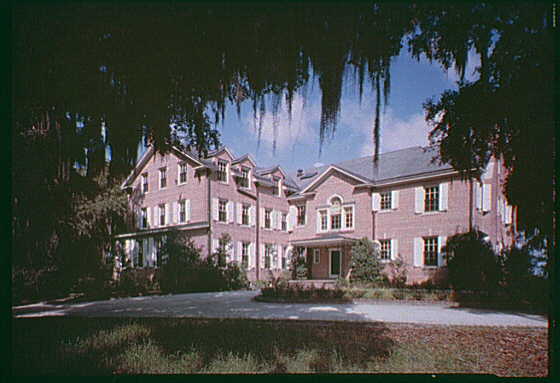 Photograph of Hobcaw Barony