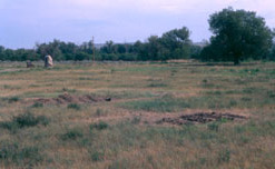 Photograph of Fort Pierre Chouteau