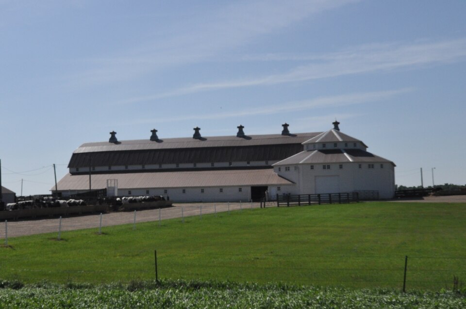 Photograph of Bones Hereford Ranch Sale Barn