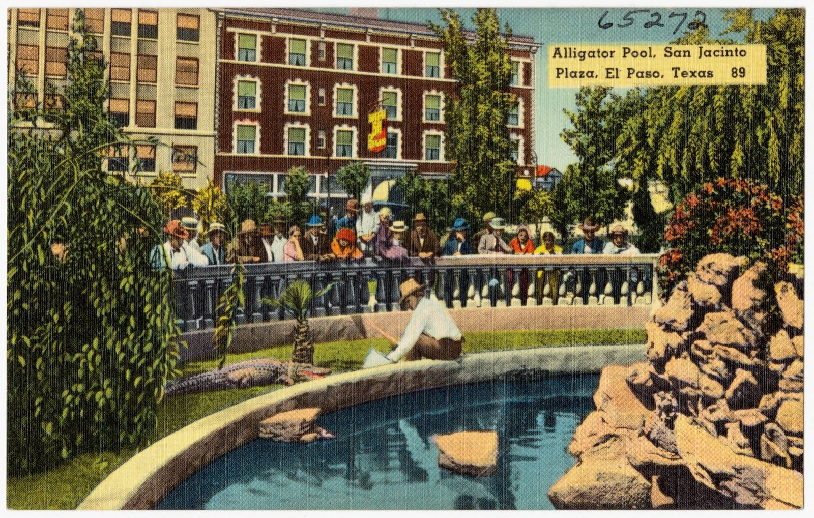 Alligator Pool, San Jacinto Plaza, El Paso, Texas, 89, Boston Public Library - undated