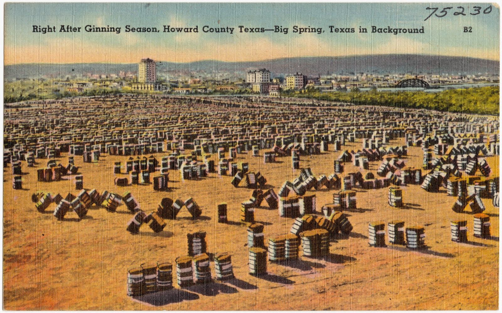Right after Ginning Season, Howard County Texas -- Big Spring, Texas in background, Boston Public Library - undated