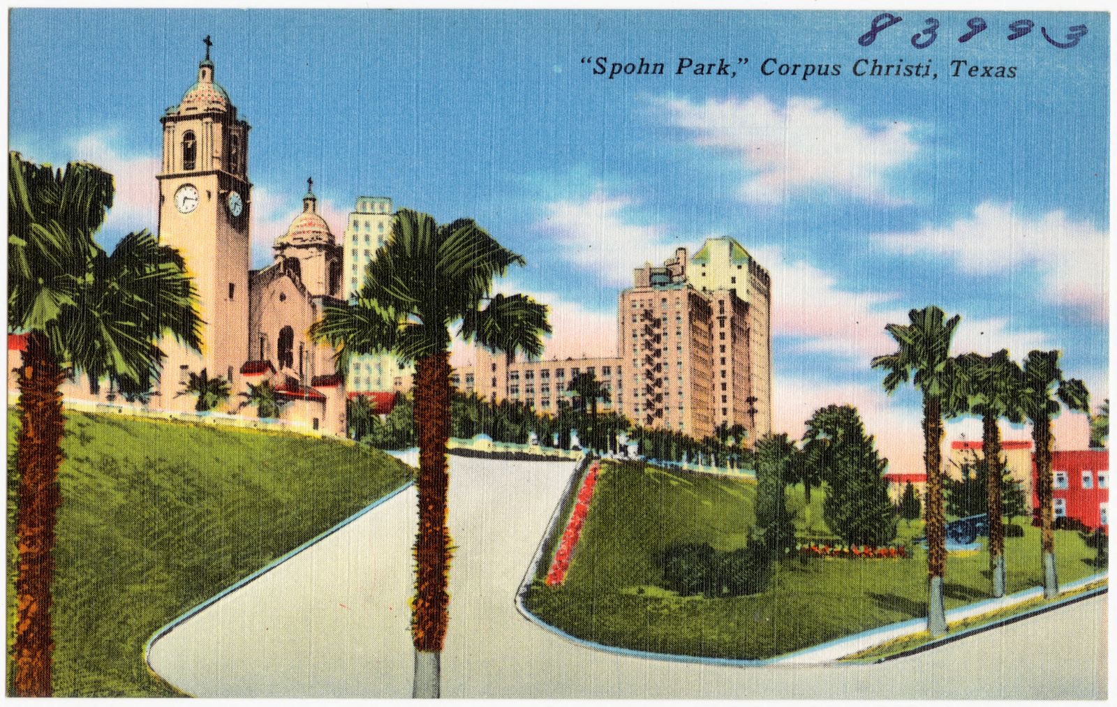 "Spohn Park," Corpus Christi, Texas, Boston Public Library - undated