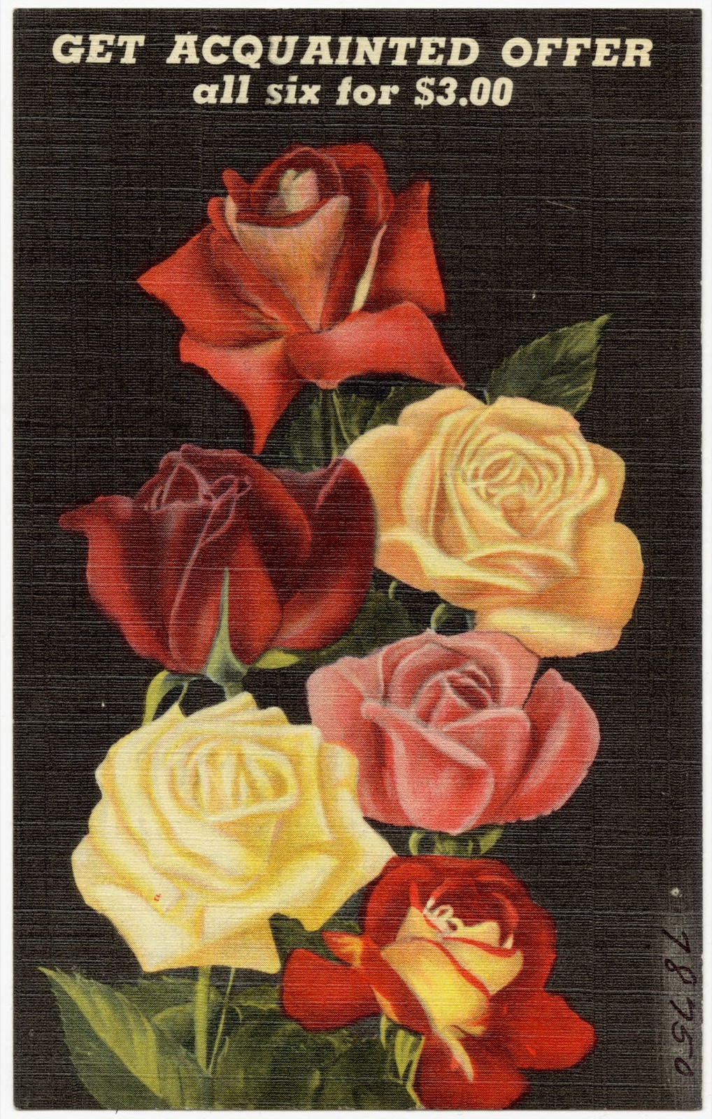 Get acquainted offer all six for $3.00, Boston Public Library - undated