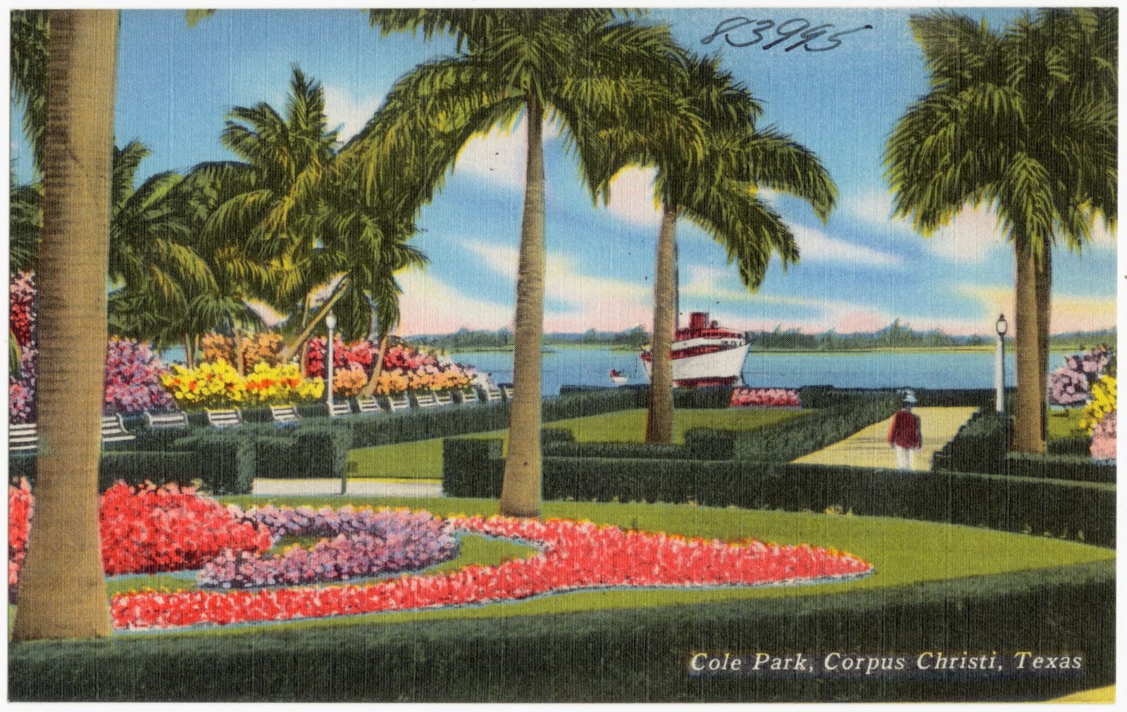 Cole Park, Corpus Christi, Texas, Boston Public Library - undated