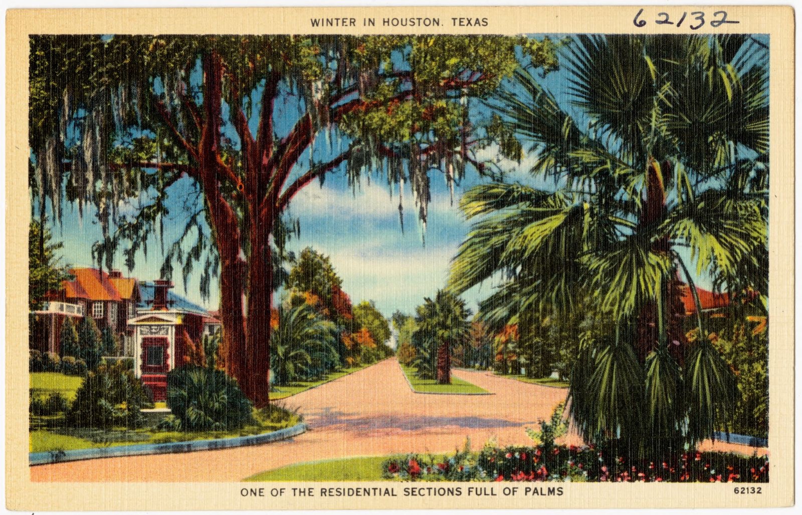 One of the residential sections full of Palms, Boston Public Library - undated