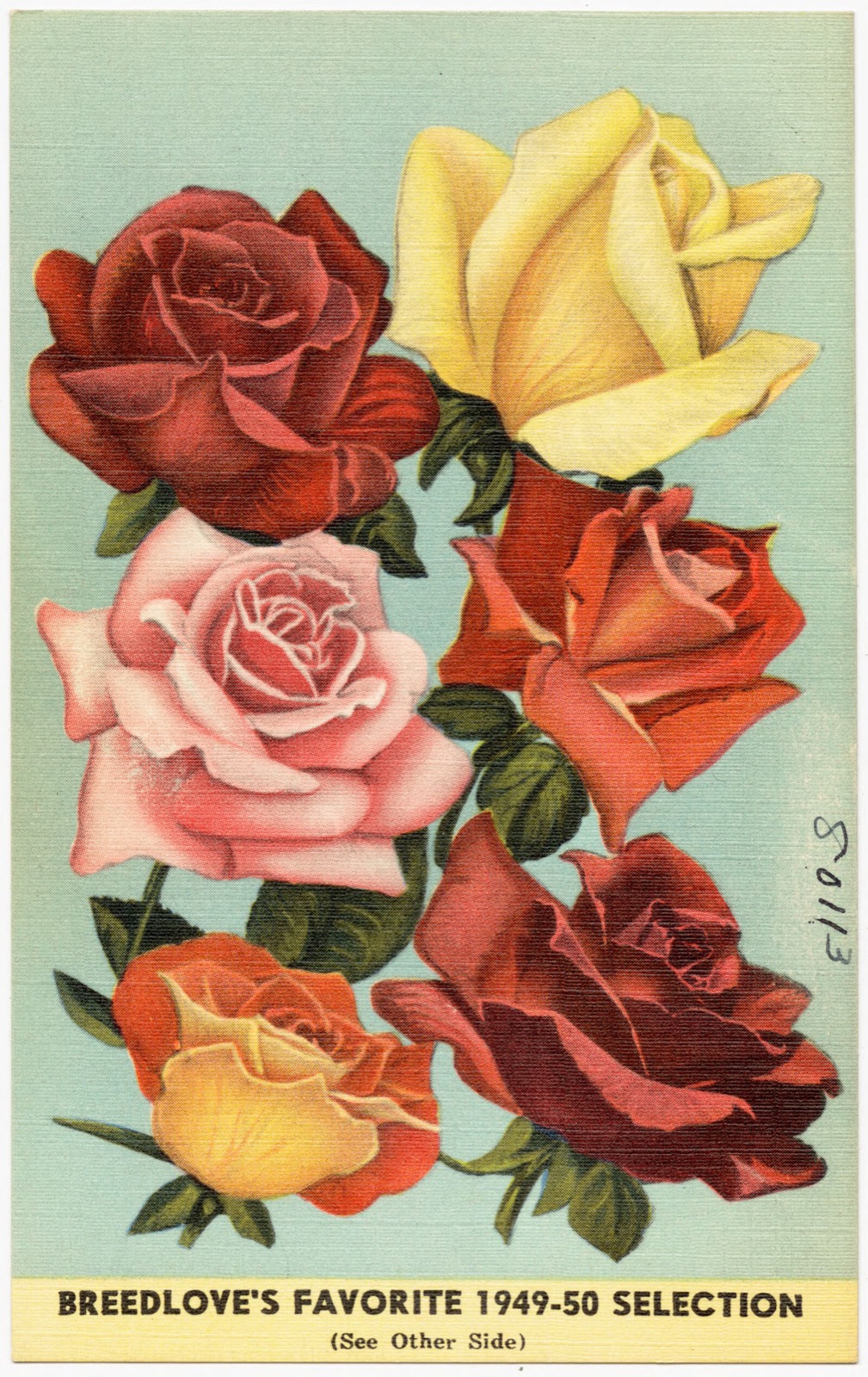 Breedlove's favorite 1949-50 selection, Boston Public Library - undated