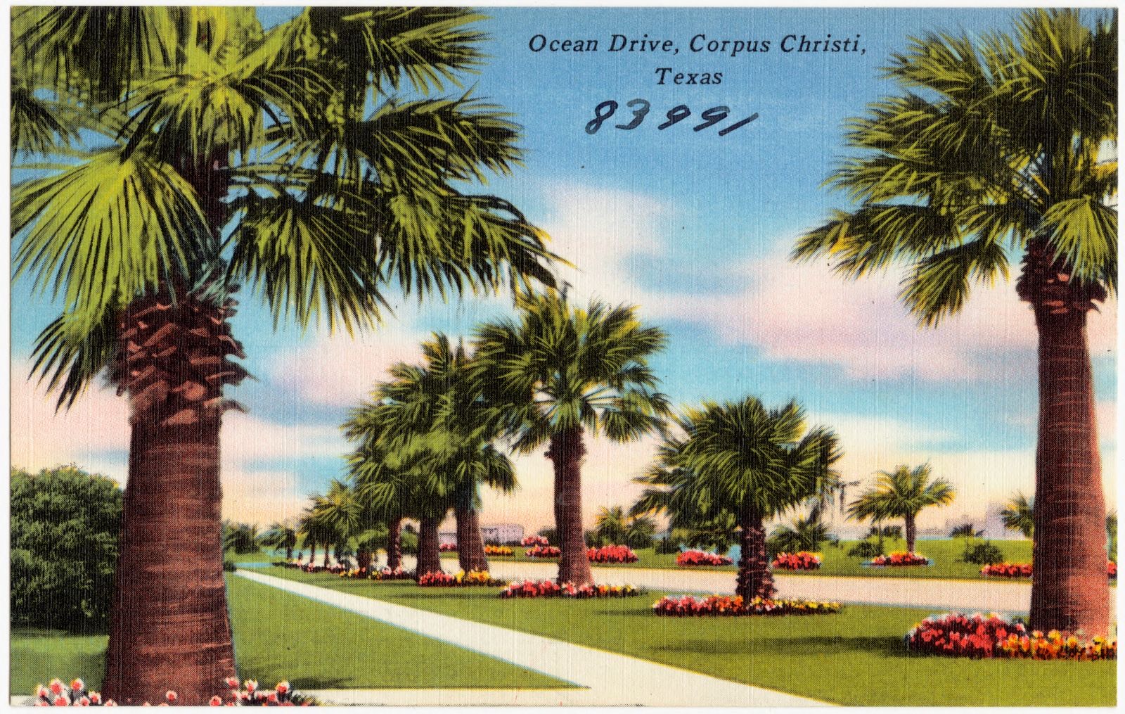 Ocean Drive, Corpus Christi, Texas, Boston Public Library - undated