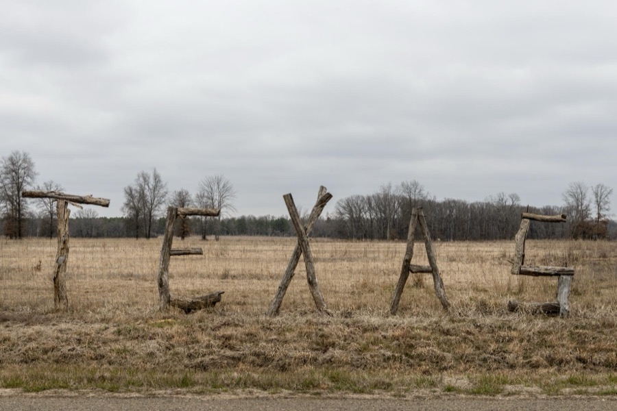 Branches spell out the state name on a wire fence on this ranch near Texarkana, Texas