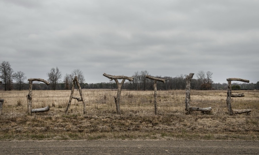 Branches on a wire fence spell out what this ranch raises near Texarkana, Texas