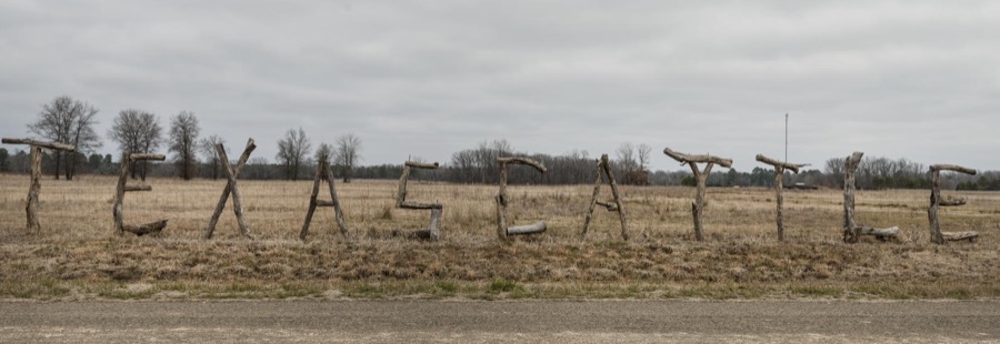 Branches spell out the state name and what this ranch raises near Texarkana, Texas