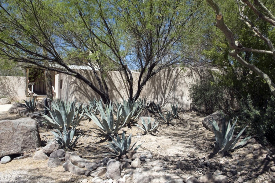 A portion of the Lajitas Golf Resort and Spa in Lajitas, an unincorporated town at the spot that separates Big Bend National Park and Big Bend Ranch State Park in southern Brewster County, Texas