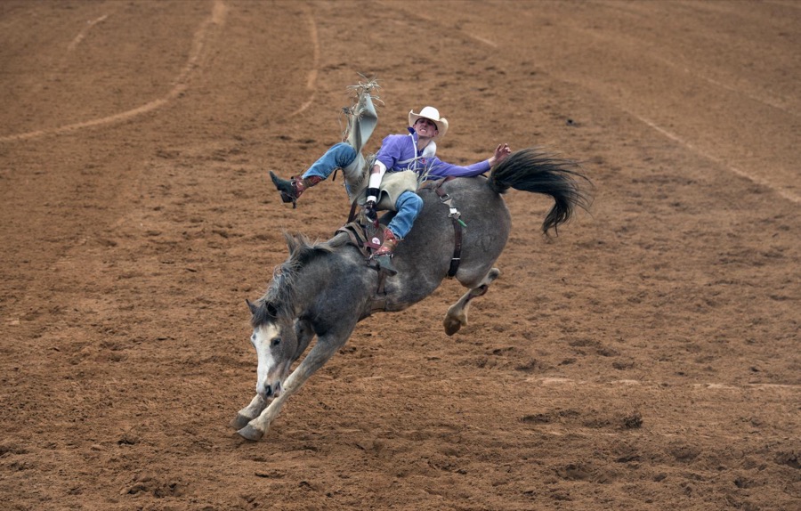 Bronc rider about to take a spill at the rodeo in Poteet, Texas