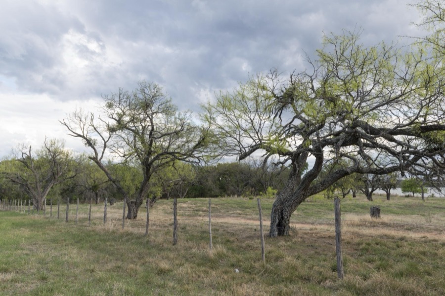 Roadside scene near Inks Lake in the Texas Hill Country, near Burnet