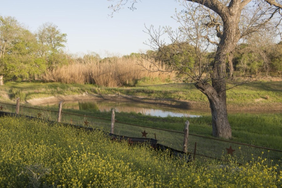 Tall grasses, a pond, and a fence decorated with the Texas Lone Star in rural Blanco County, Texas