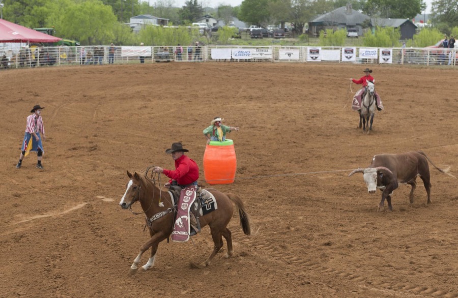 Scene from the "Bad Company Rodeo," part of the annual Poteet Strawberry Festival in Poteet, a small city in Atascosa County, near San Antonio, Texas