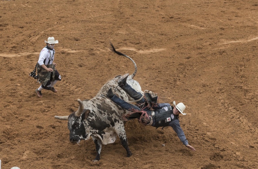 Scene from the "Bad Company Rodeo," part of the annual Poteet Strawberry Festival in Poteet, a small city in Atascosa County, Texas, near San Antonio