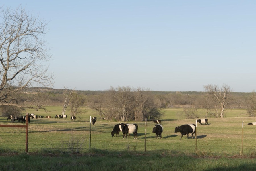 Rural scene in Bosque County, Texas