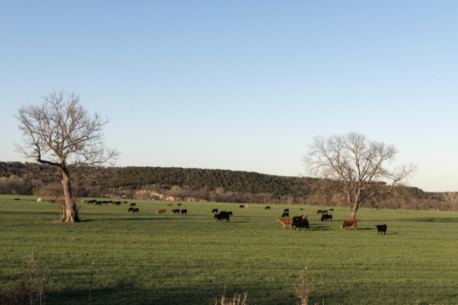 Rural scene near Valley Mills in Bosque County, Texas