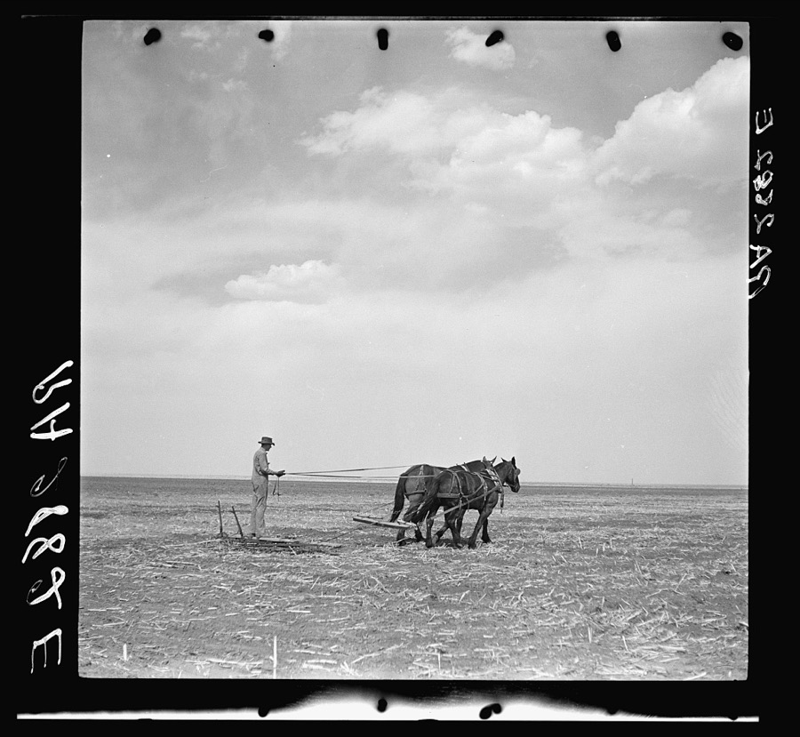 Leveling a field before irrigation on the proposed project at Muleshoe, Texas