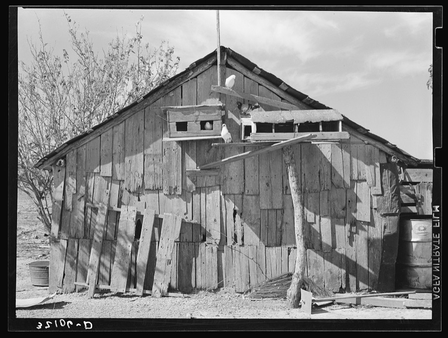 Side of barn of Mexican day laborer with pigeon cote. Near Santa Maria, Texas