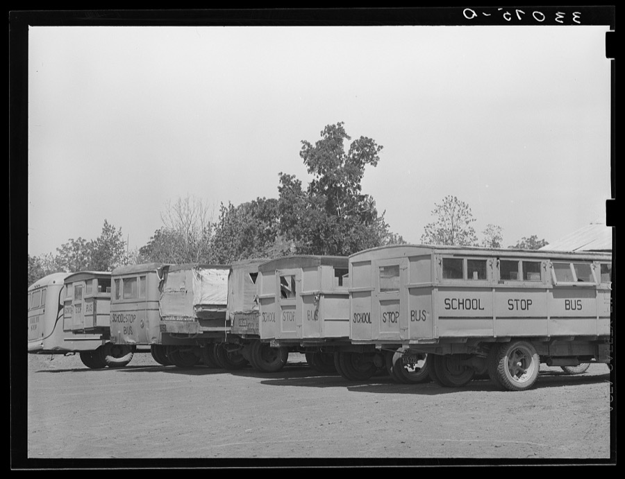 Lineup of school buses near Wells, Texas