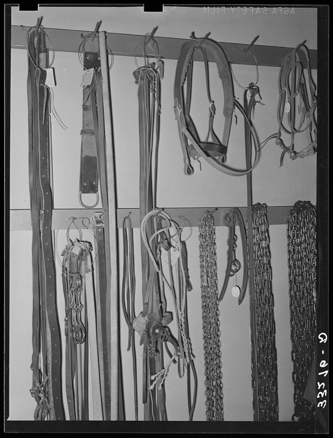 Cinch straps, bits, halters and chains in ranch supply store. Alpine, Texas
