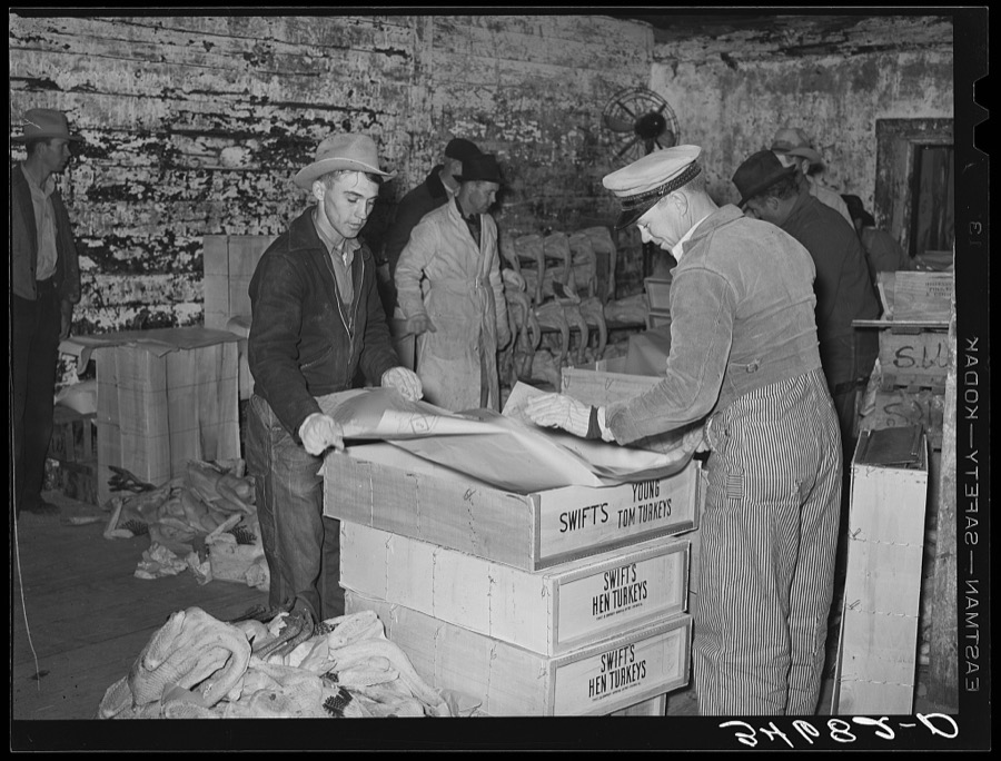 Lining boxes with paper before packing with turkeys. Cold storage plant, Brownwood, Texas