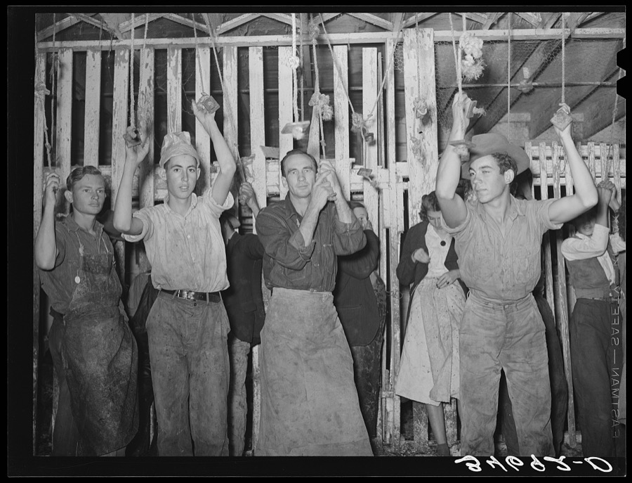 Turkey pickers waiting for work to start. Cooperative poutry plant, Brownwood, Texas