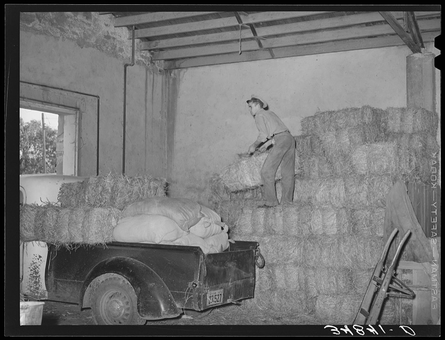 Loading truck with hay at feed store. Brownwood, Texas