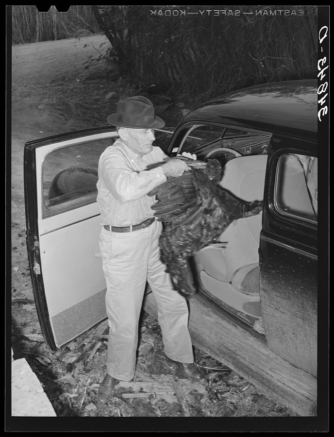 Farmer removing turkey from his car which he has brought to the cooperative poultry house. Brownwood, Texas
