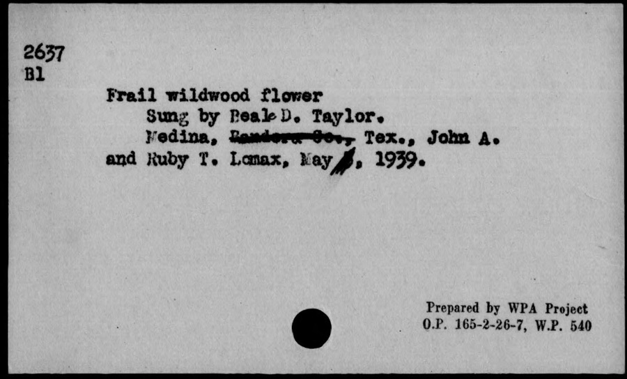 Frail wildwood flower