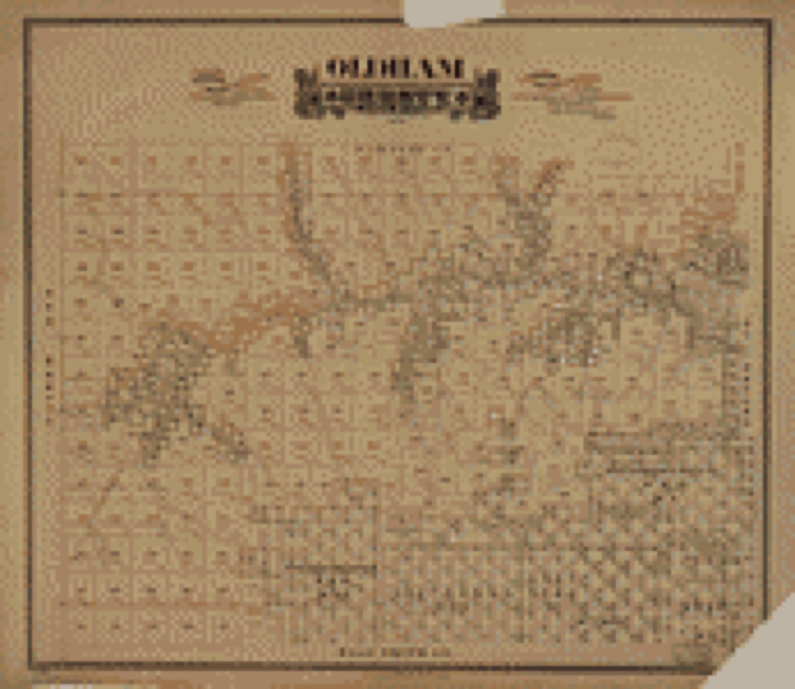 Land ownership map, 1888 - Oldham County, state of Texas